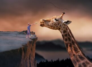 Kiedy przewijać dziecko przed czy po karmieniu?