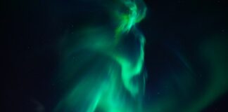 Co oznacza pasek na Pieluchomajtkach?