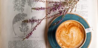 Czy po toniku nakłada się krem?