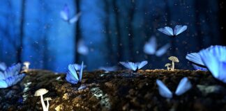 Czy można odmówić przyjęcia faktury elektronicznej?