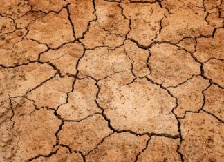 Co zrobić na suchość w jamie ustnej? Co zrobić na suchość w jamie ustnej?