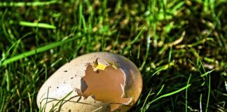 Jak naprawić powłokę antyrefleksyjną?